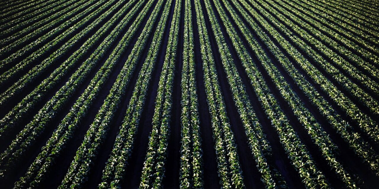 L’Impact Caché de l’Agriculture sur la Nature